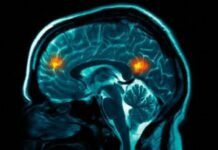 Is Mental Illness Real?