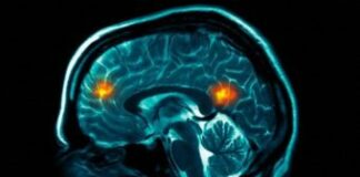 Is Mental Illness Real?