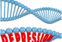 Big New Study Challenges a Genetic Link to Stress, Depression