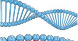 Big New Study Challenges a Genetic Link to Stress, Depression