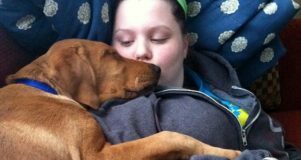 Nonprofit Matches Dogs With People in Need of Support