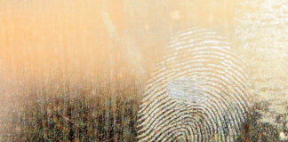 “Doubly Brutish”: Forensic Psychiatry and Force