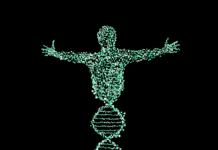 Researchers Question Link Between Genetics and Depression