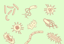 When Modern Medicine Made Me More Autistic