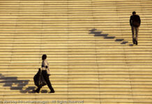 Physical Inactivity Associated with Worse Cognitive Functioning in Psychosis