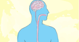 Gut Feelings on Parkinson’s and Depression
