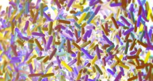 A Traumatic Experience Can Reshape Your Microbiome