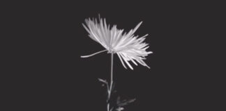 Healing from Psychiatry: A Community Art Book