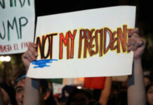 A New Paper Breaks Down the Effects of the Election