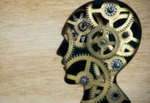 Reform of Mental Health Law Should Focus on Patient’s Voice