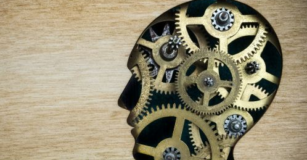 Reform of Mental Health Law Should Focus on Patient’s Voice