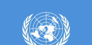 Letter Endorsing the Recent UN Report on Mental Health