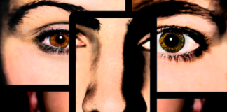 Schizophrenia’s Tangled Roots