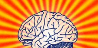Political Neuroscience: “Growth Mindsets” and Disability