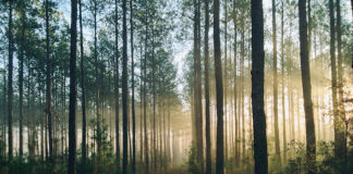 “Maybe You Need Meds”: From Passive Patient to Finding My Voice