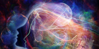 If You Don’t Have a Brain…