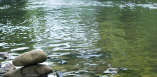 Three Suicides: Honoring Lives Lost to Benzodiazepines