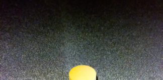 In Chronic Patients, Antipsychotics Have Limited Efficacy in Reducing Symptoms