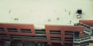 Humans are the Only Animals who Crave Oblivion Through Suicide