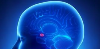 Bipolar Disorder: Childhood Trauma Modulates Impact