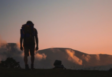 Openness to Experience: The Gates of the Mind