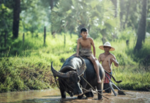 Why Having a Bad Job is Worse Than Having No Job