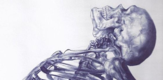 Psychiatry’s Necessary Shadow: The Philosophy of Mental Illness