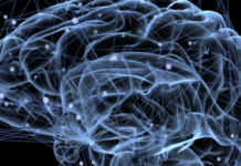 The Concept of Schizophrenia is Coming to an End – Here’s Why