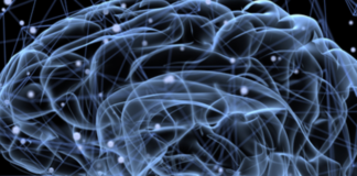 The Concept of Schizophrenia is Coming to an End – Here’s Why