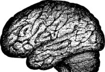 Findings Linking Depression to Abnormal Brain Activity Questioned