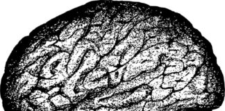 Findings Linking Depression to Abnormal Brain Activity Questioned