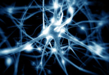 Would Discovering the Biology of “Mental Illness” Explain its Cause?