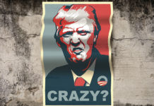 So, You Still Say Trump is Crazy?