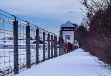 The Invisible Holocaust and the Gene Hypothesis