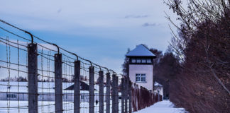The Invisible Holocaust and the Gene Hypothesis