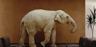 Psychiatry Ignores an Elephant in the Room elephant