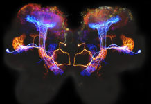 Investigation Reveals Alarming ECT Practices in England