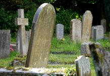 Mortality of People Using Mental Health Services and Medications