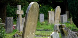 Mortality of People Using Mental Health Services and Medications