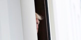 Diagnosing Donald Trump, and His Voters