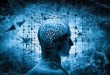 I Am Not a Brain: Philosophy of Mind