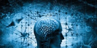 I Am Not a Brain: Philosophy of Mind