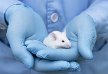 The State of Animal Psychiatric Research animal research