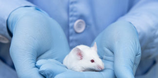 The State of Animal Psychiatric Research animal research