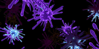 How Your Germs Control Your Politics