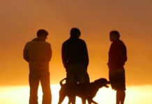 A Lazy Person’s Guide to Happiness