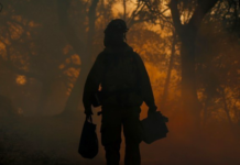 A Quiet Rise in Wildland-Firefighter Suicides