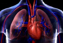 Patients on Antipsychotics at High Risk for Cardiovascular Issues, Study Finds