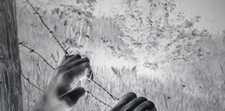 Creeping Fascism: University “Unfit to Study” Policies fascism