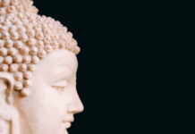 The Science of the Mind and the Science of the Brain